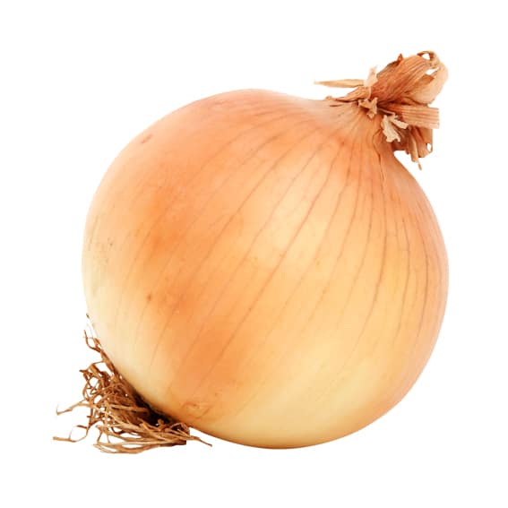 Onion