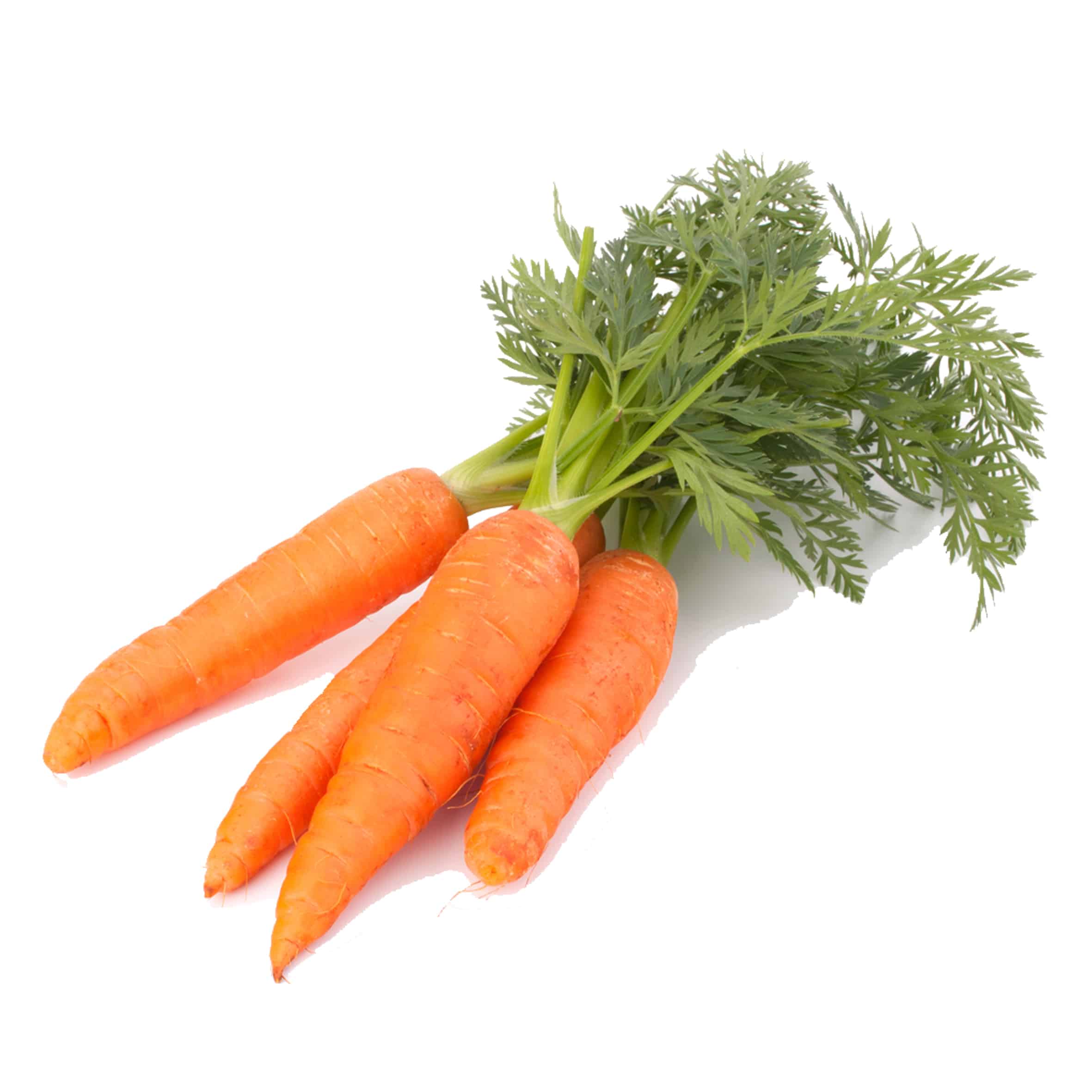 Carrots 2